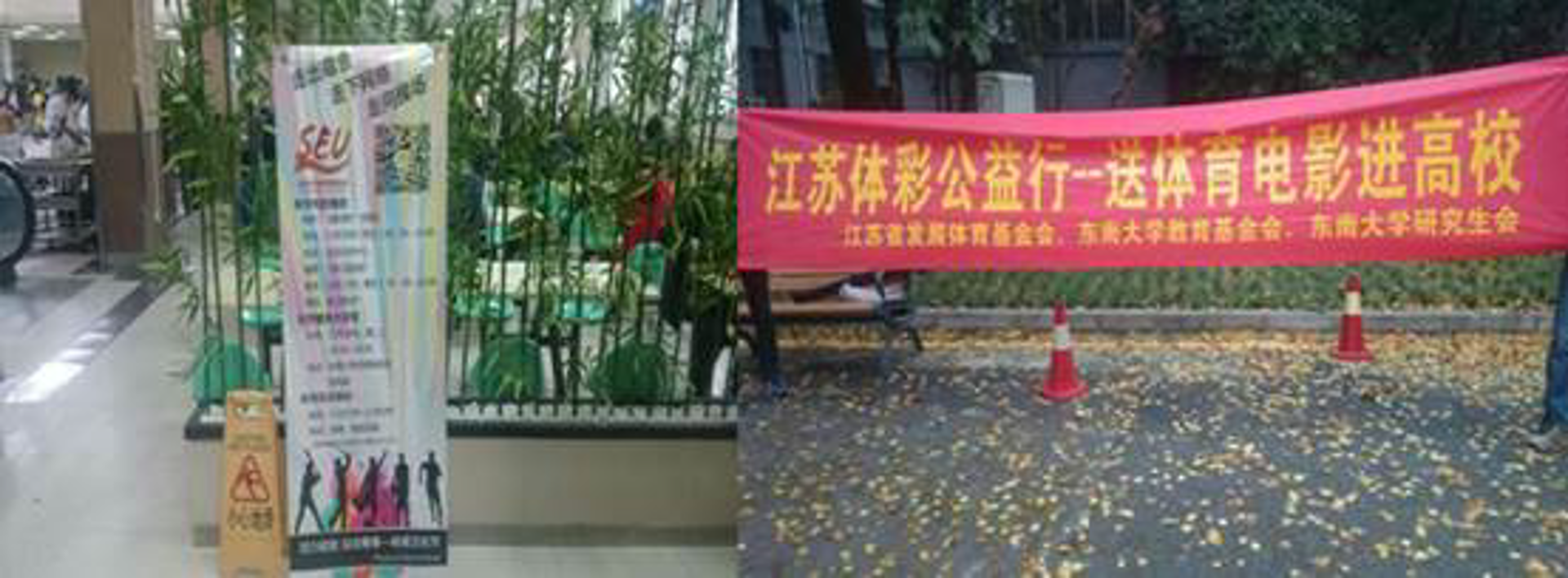 柚为文化传媒